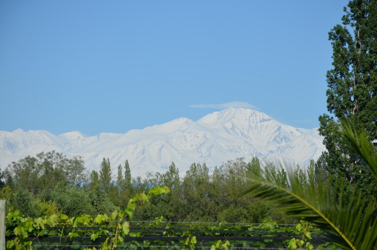 Finca Fisterra Maipu  Exterior photo
