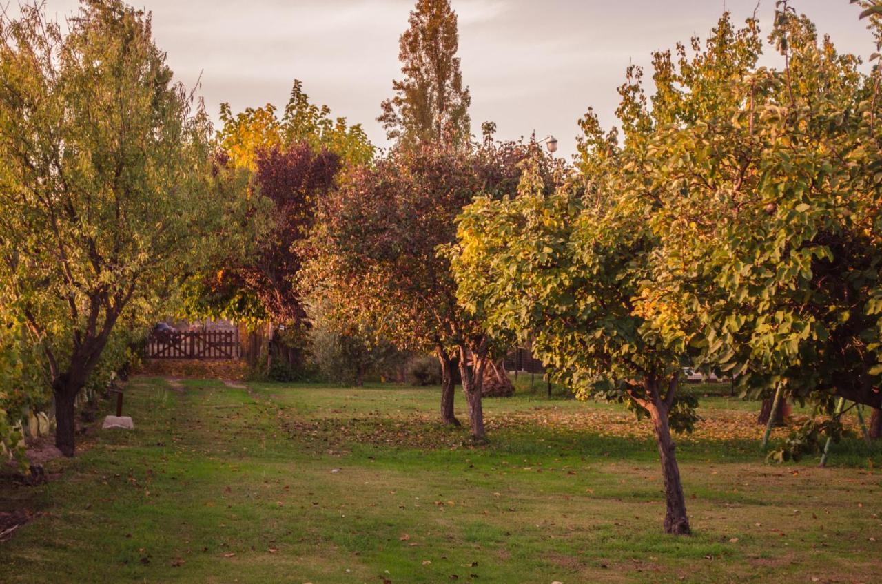 Finca Fisterra Maipu  Exterior photo